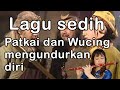 Bikin Terharu Lagu Sedih Kera Sakti Patkai Wucing Mengundurkan Diri