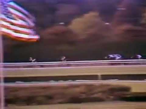 Seattle Slew -- 1976 Champagne Stakes