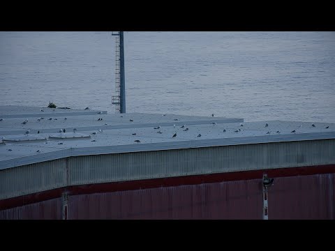 Double Around the Interlude (2022) excerpt