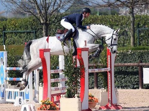 Cenpo, 2008 Old stallion, Cento x Papillon Rouge, 1.45m