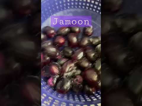 Summer Killer #javaplum #summerfruit