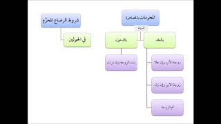 صورة فقه الأسرة (08) المحرمات بالمصاهرة - عامر بهجت - التأهيل الفقهي