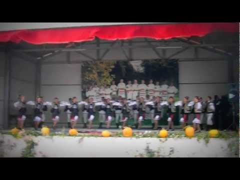 Ansamblul Consiliului Judetean Vaslui "Hora"