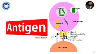 Download Lagu Antigen: self vs non-self antigen, epitopes u0026 super antigen | Microbiology | by Imran Yaseen Thumbnail