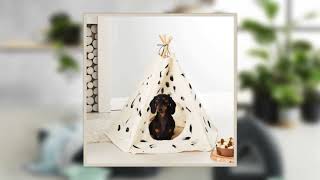 Choose Different Types of Pet Accessories