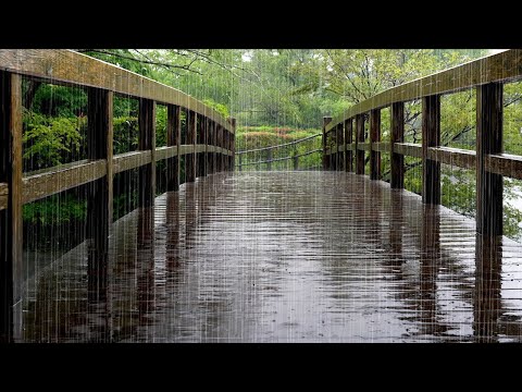 Rain Sounds Dripping on the Friendly Wooden Bridge - Nature's White Noise that Makes You Fall Asleep