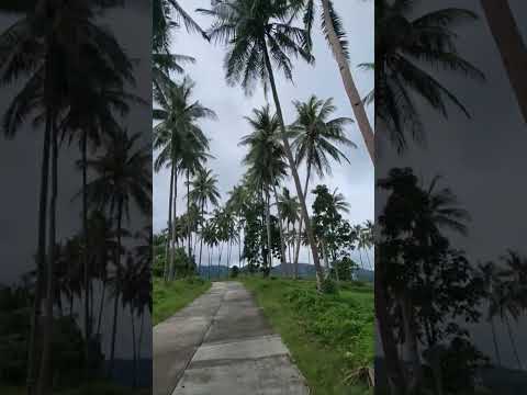 Riding a scooter on Philippine roads. How do you like these landscapes?
