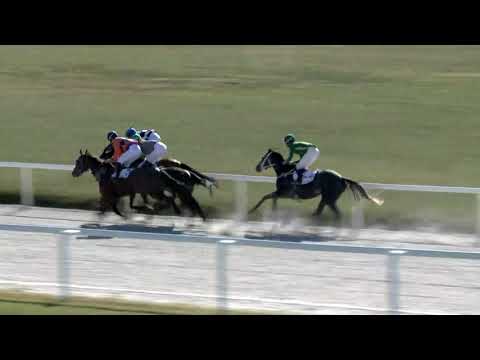 2018.09.30. 02. futam - ZSIBÓI HENDIKEP (III.o.) (szintetikus pálya)