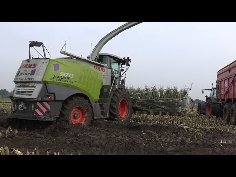 Claas Jaguar 970 en 2 Fendts met Dezeure tractiewagens in de mais en door de modder (2015)
