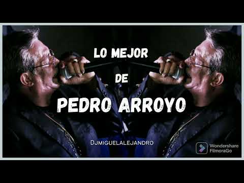 PEDRO ARROYO MIX (ÉXITOS Y MAS ÉXITOS) cover