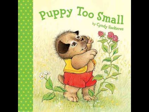 Story Time!  Puppy Too Small