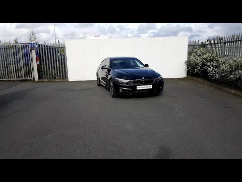 181d34313 420d black DV