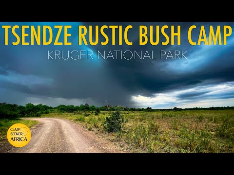 A week in the Kruger! Lions, storms, and a pesky hornbill | Tsendze | Kruger Park | Off-grid Camping