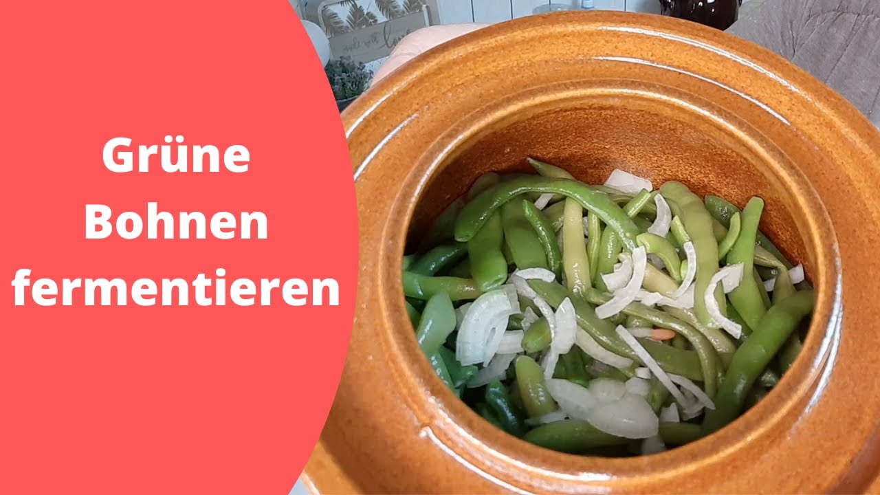 Grüne Bohnen fermentieren