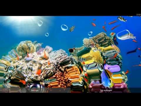 Underwater Live Wallpaper Video