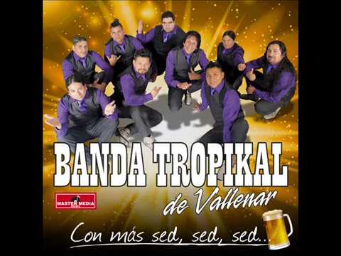 Banda Tropikal de Vallenar - Hay Que Saber Perder