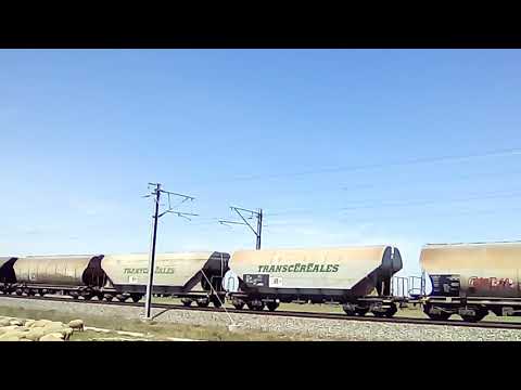 Lehliu-Drajna:Mărfar Constantin Grup