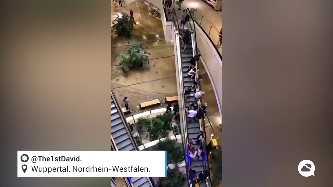 youtube video id=Haj3PLYkKg0