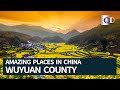 Wuyuan County in the Sea of Flowers | Amazing Places in China