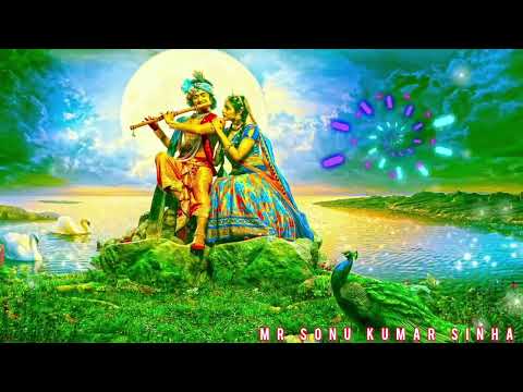 Banke Bihari Mashup 2.0 - Radha Krishna Mashup - Radha Rani Mashup - Banke Bihari Mashup 2025