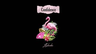 Confidence Music Video