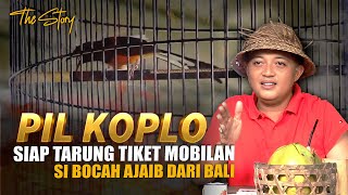 Download lagu Dari Bali🔥 Murai Batu PIL KOPLO Siap Tarung Tiket Mobilan mp3