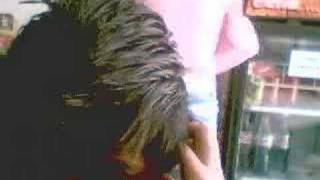 Re: Mortiis - Mental Maelstrom