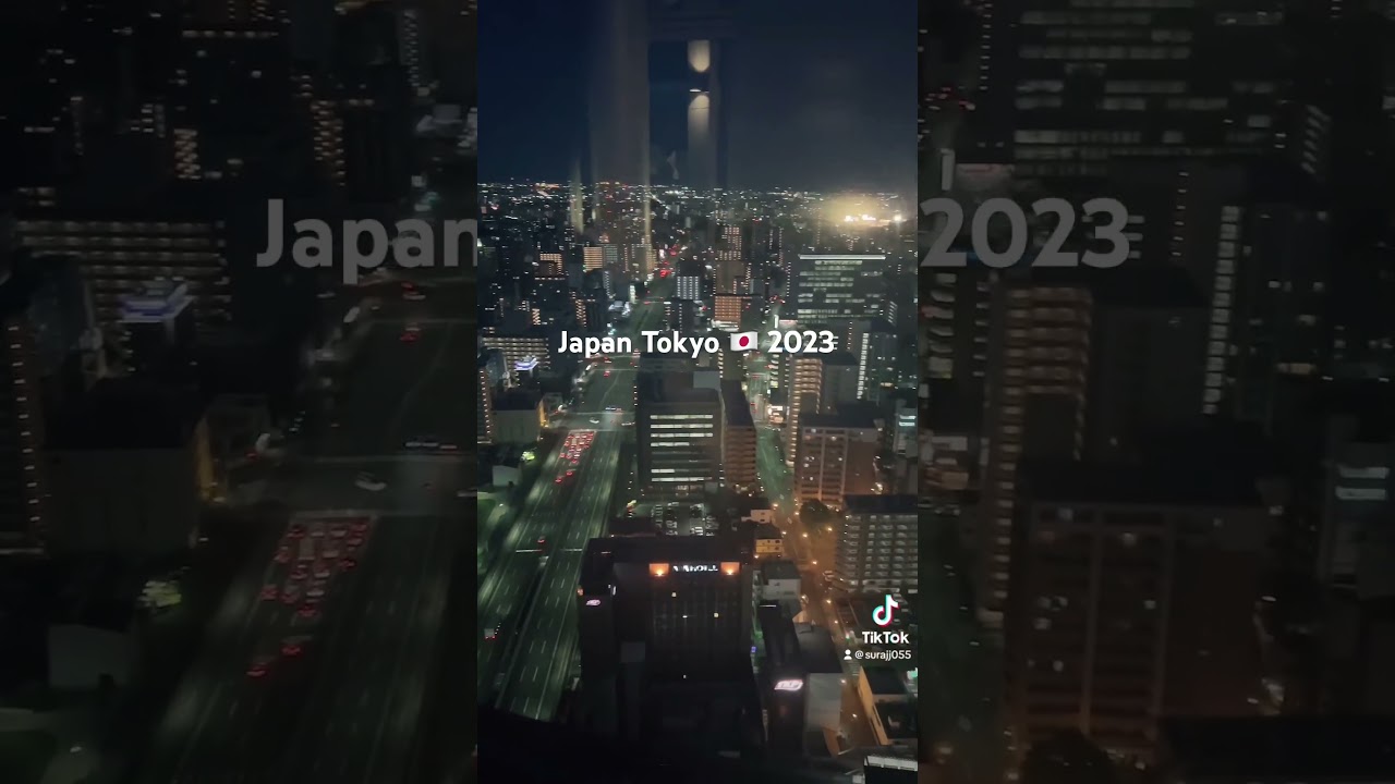 Japan 🇯🇵 2023 Tokyo - The city which never sleep 💴 #tokyo
