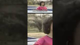 Download lagu IMAM S ARIFIN - Berdayung Cinta #sorts #sort #duet #imamsarifin #dangdutlawas mp3 Download lagu IMAM S ARIFIN - Berdayung Cinta #sorts #sort #duet #imamsarifin #dangdutlawas mp3