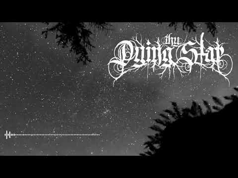 Thy Dying Star - Ashes / Audio Streaming (Single)