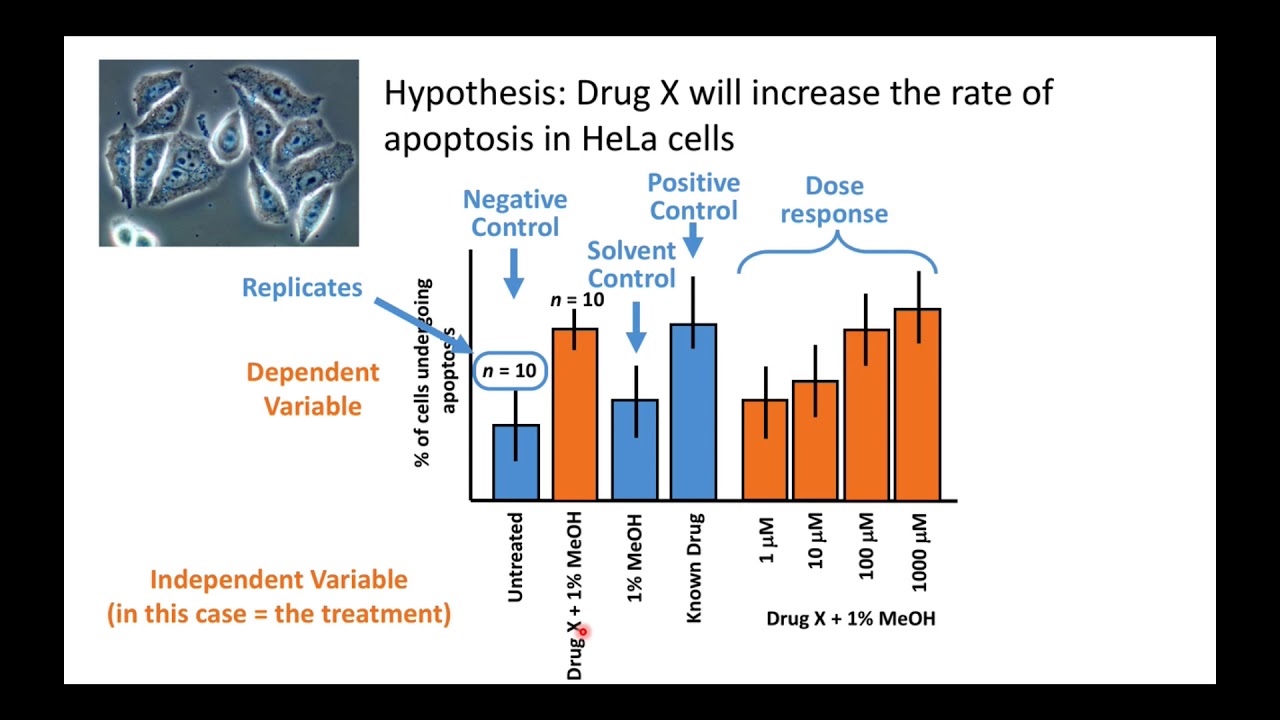 Experimental Design Principles
