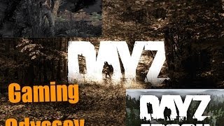 Arma II: Dayz Mod Gameplay