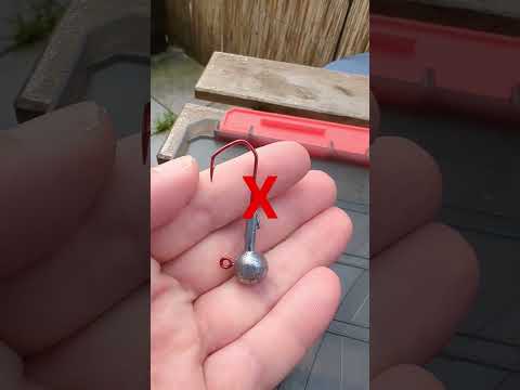Which jighead for zander fishing? More catches #zanderfishing #zander #fishing