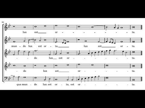 Video thumbnail for Ave Regina caelorum