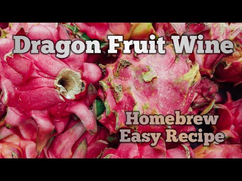 Dragon Fruit Wine Homebrew - Easy Recipe