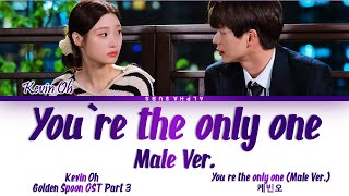 Kevin Oh (케빈오) - You&#39;re The Only One (Male Ver) The Golden Spoon OST Part 3 (금수저 OST) Lyrics/가사