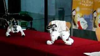 Re: [討論] 支那春晚讓機器人跳舞