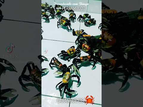 Preto Dos Seus Olhos - Crab
