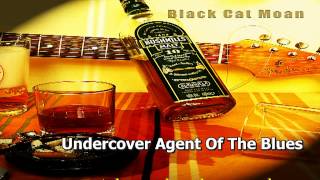 Undercover Agent For The Blues