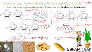 #Chemistry #Biomolecules part 12 #Polysaccharides #starch, #cellulose, #glycogen #CBSE #class12 XII1