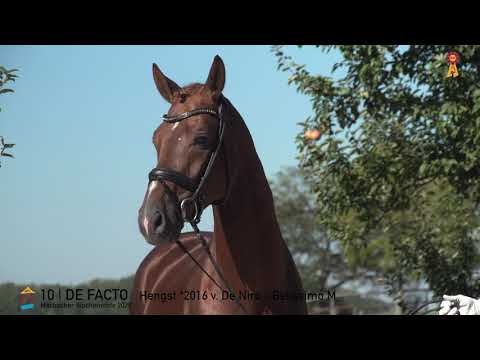 10 De Facto v. De Niro - Belissimo  *MARBACHER WOCHENENDE 2020*