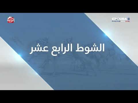 ملخص السباق ، تأهيلي المرموم 2026/09/12 لقايا