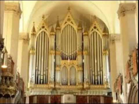 Luchian Alexandru Ionescu "Ape dobrogene" - suite for organ