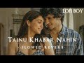 Tainu Khabar Nahin Slowed Reverb Munjya Lofi Boy