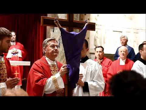 Nadbiskup Marin Barisic na Veliki petak predvodio obrede muke Gospodnje