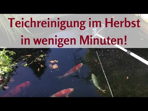 Teichreinigung im Herbst – Teichschlamm entfernen in nur wenigen Minuten!