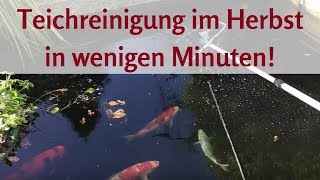 Teichreinigung im Herbst – Teichschlamm entfernen in nur wenigen Minuten!