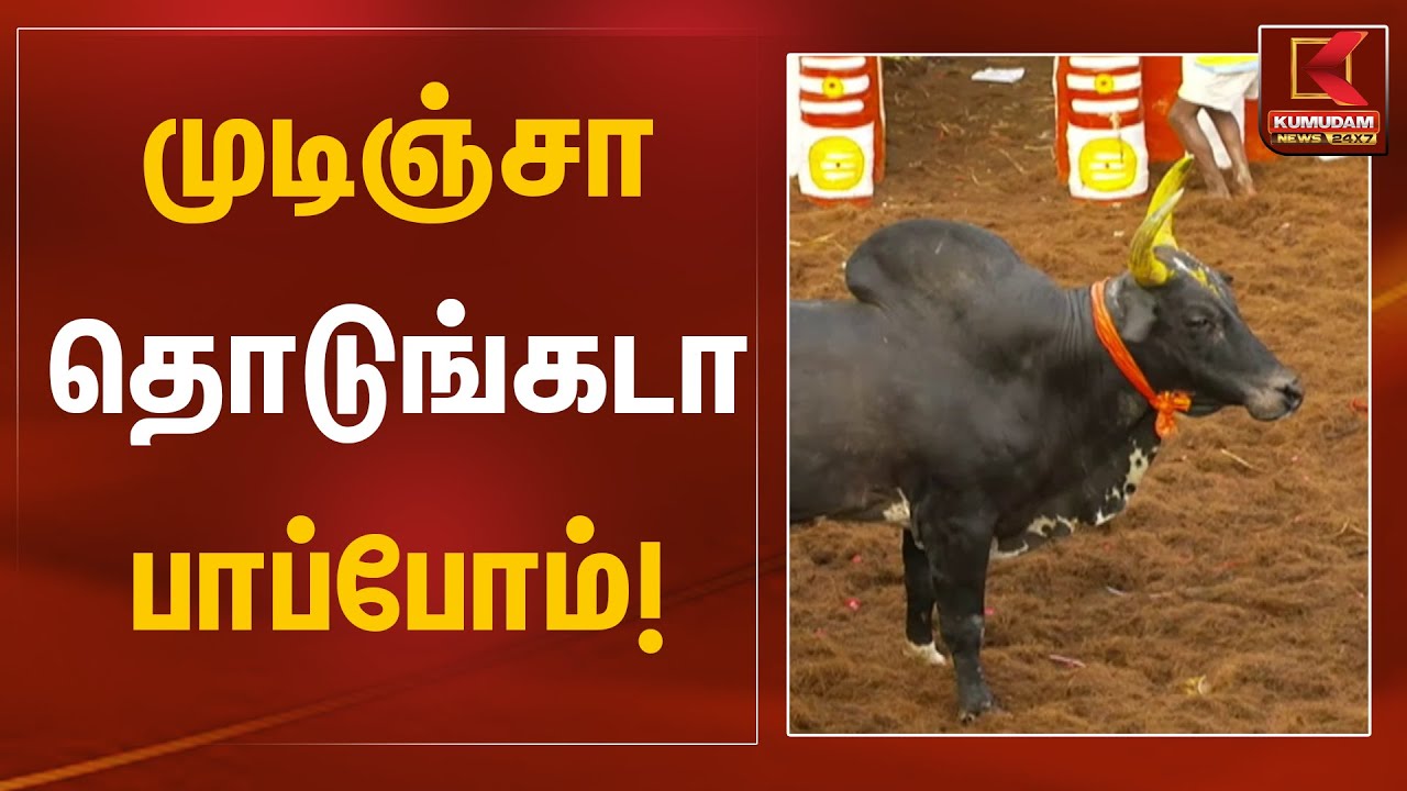 முடிஞ்சா தொடுங்கடா பாப்போம்!🔥 | Alanganallur Jallikattu | Kumudam News