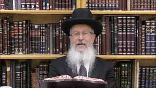 הגאון הרב אברהם יוסף שליט"א מה יעשה אדם שצריך לעשות בדיקת חמץ בכמה מקומות (הרב אברהם יוסף) - התמונה מוצגת ישירות מתוך אתר האינטרנט יוטיוב. זכויות היוצרים בתמונה שייכות ליוצרה. קישור קרדיט למקור התוכן נמצא בתוך דף הסרטון