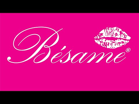 Besame Women Thong Lace Panties Spandex Underwear Lingerie 5 Pack